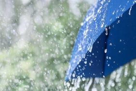 8B301BC5-6B81-4F53-A622-7B06239233E6