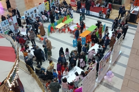 925825ad-fd55-4c1a-b00b-aad03fcd1e74