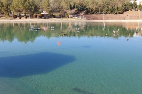 07A0C4FF-4CBC-4F62-B39F-556ED56E704A