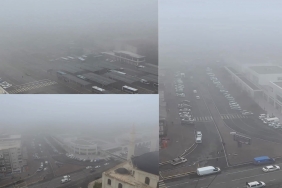 489D3DBC-07FF-40E8-AA95-6591BEEF6FB6