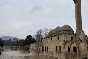 4B65B858-BCB7-44EB-BE0A-A7561CC53140