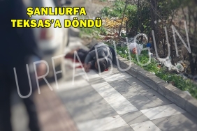 F92C0D24-4D95-4D01-AC13-6F9887C82662