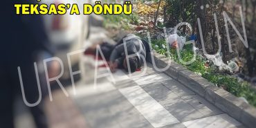 F92C0D24-4D95-4D01-AC13-6F9887C82662
