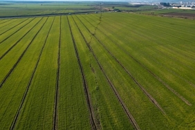 Maraş fay hattı görüntüsü