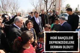 PSX_20230228_140702-1024x683