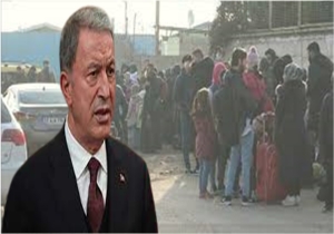 hulisi akar