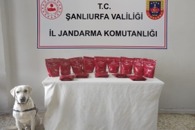 1BF19B8D-D5C7-4952-A277-4EA4731E5CEA