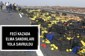 3970D96C-9F4F-4236-85B3-CB5BCCE3E765