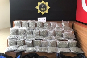 6E0E2A7C-894E-40FB-A532-E0228135BF39