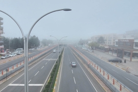 7331702C-209D-449F-9A8D-222B3A5A7C92