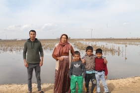 7d373aa1-de98-42de-93de-ecff775bf61a