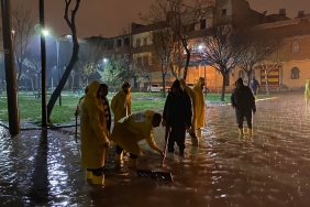 B516EE06-C0B7-4D8C-B0D3-A6261A1EC231