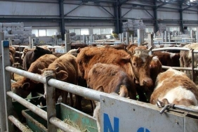 DFD1CF27-D581-41B7-B6A3-C4E23B7323AA