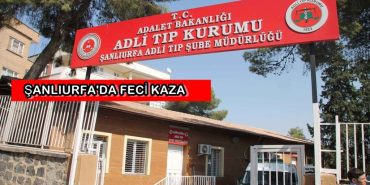 adli-tip2-1024x647