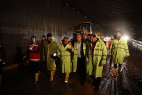 e11dbf49-b6ff-44e0-a0d8-0a5cf9adf03f