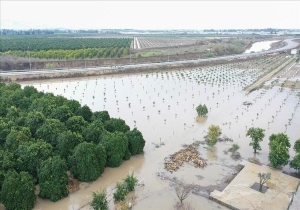 sel su baskın