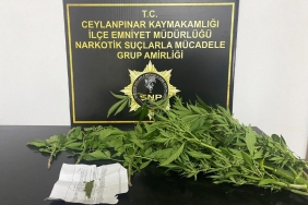 uyusturucu--1024x717