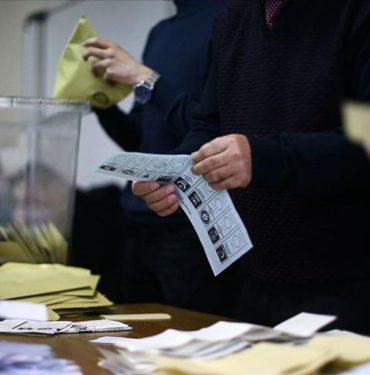 1137671-1226072081