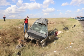 Şanlıurfa'da kamyonetle tırın çarpışması sonucu 6 kişi hayatını kaybetti