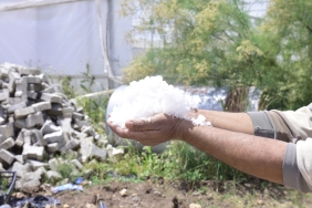 Ceylanpınar'da sağanak ve dolu, sera ve tarlalara zarar verdi