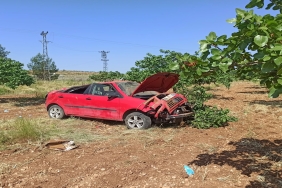 Şanlıurfa'da devrilen otomobilin sürücüsü yaralandı