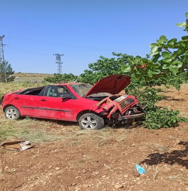 Şanlıurfa'da devrilen otomobilin sürücüsü yaralandı