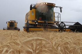 tarim-ciftci-1024x719