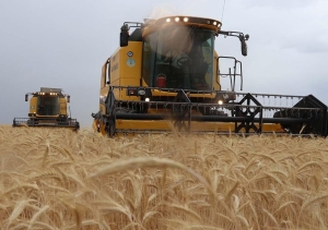 tarim-ciftci-1024x719