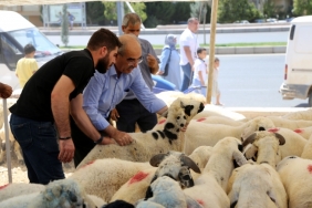 031562e1-c2b0-4b4c-ac21-f2f86936180c(2)