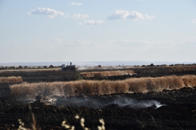 Şanlıurfa'da ekili alandaki yangında alevlerin arasında kalan 2 kişi yaralandı