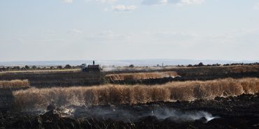 Şanlıurfa'da ekili alandaki yangında alevlerin arasında kalan 2 kişi yaralandı