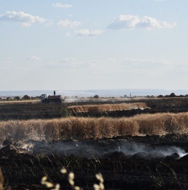 Şanlıurfa'da ekili alandaki yangında alevlerin arasında kalan 2 kişi yaralandı