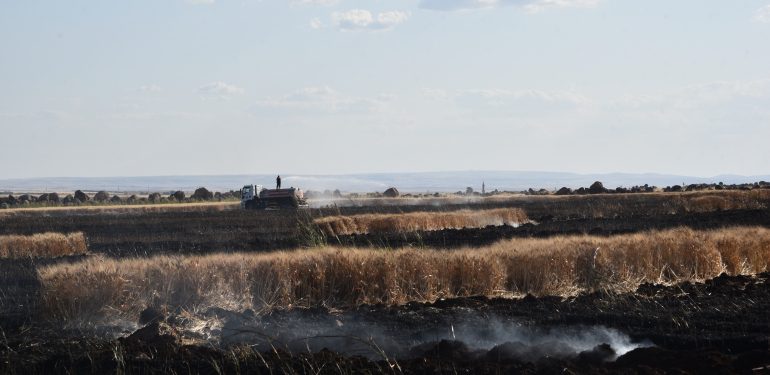 Şanlıurfa'da ekili alandaki yangında alevlerin arasında kalan 2 kişi yaralandı