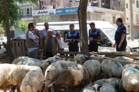 c1dc28c3-4a9e-42d3-b4bc-aad48e530f8d