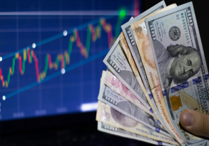 merkez bankası dolar