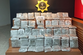 uyusturucu-1-1024x717