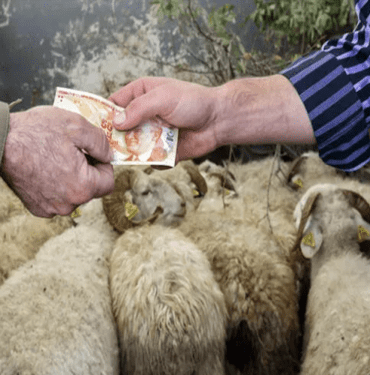 vekalet