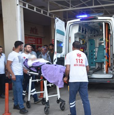 Şanlıurfa'da ekili alandaki yangında alevlerin arasında kalan 2 kişi yaralandı