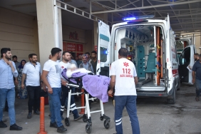 Şanlıurfa'da ekili alandaki yangında alevlerin arasında kalan 2 kişi yaralandı