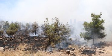 Şanlıurfa'da çıkan orman yangını söndürüldü.