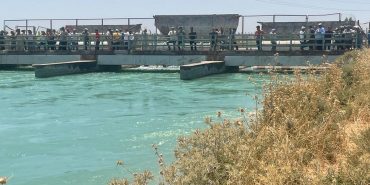 Şanlıurfa'da otomobil sulama kanalına düştü
