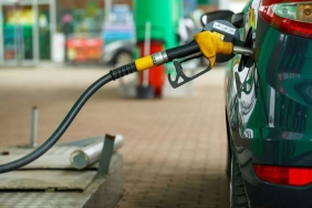 3604561_19416203ed297424775f66c5004c43b5_1366x1366