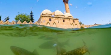Şanlıurfa'daki tarihi Balıklıgöl, binlerce turisti ağırlıyor