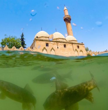Şanlıurfa'daki tarihi Balıklıgöl, binlerce turisti ağırlıyor