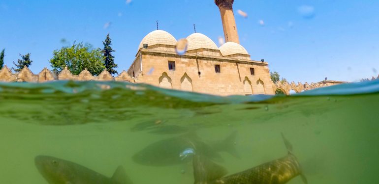 Şanlıurfa'daki tarihi Balıklıgöl, binlerce turisti ağırlıyor