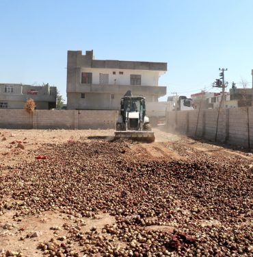 Şanlıurfa'da ele geçirilen 4 ton çürümüş soğan imha edildi