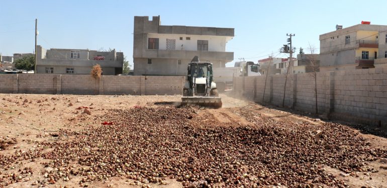 Şanlıurfa'da ele geçirilen 4 ton çürümüş soğan imha edildi