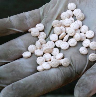 hap-33H8_cover