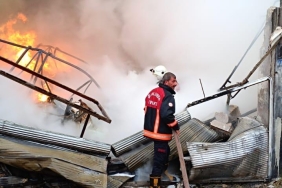 b77a8e17-e38b-46d7-9166-7f192f291625