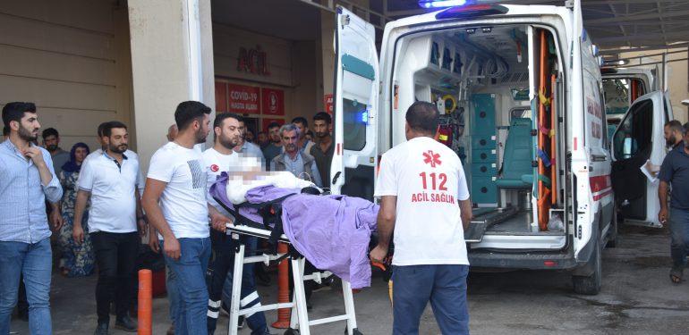 Şanlıurfa'da ekili alandaki yangında alevlerin arasında kalan 2 kişi yaralandı